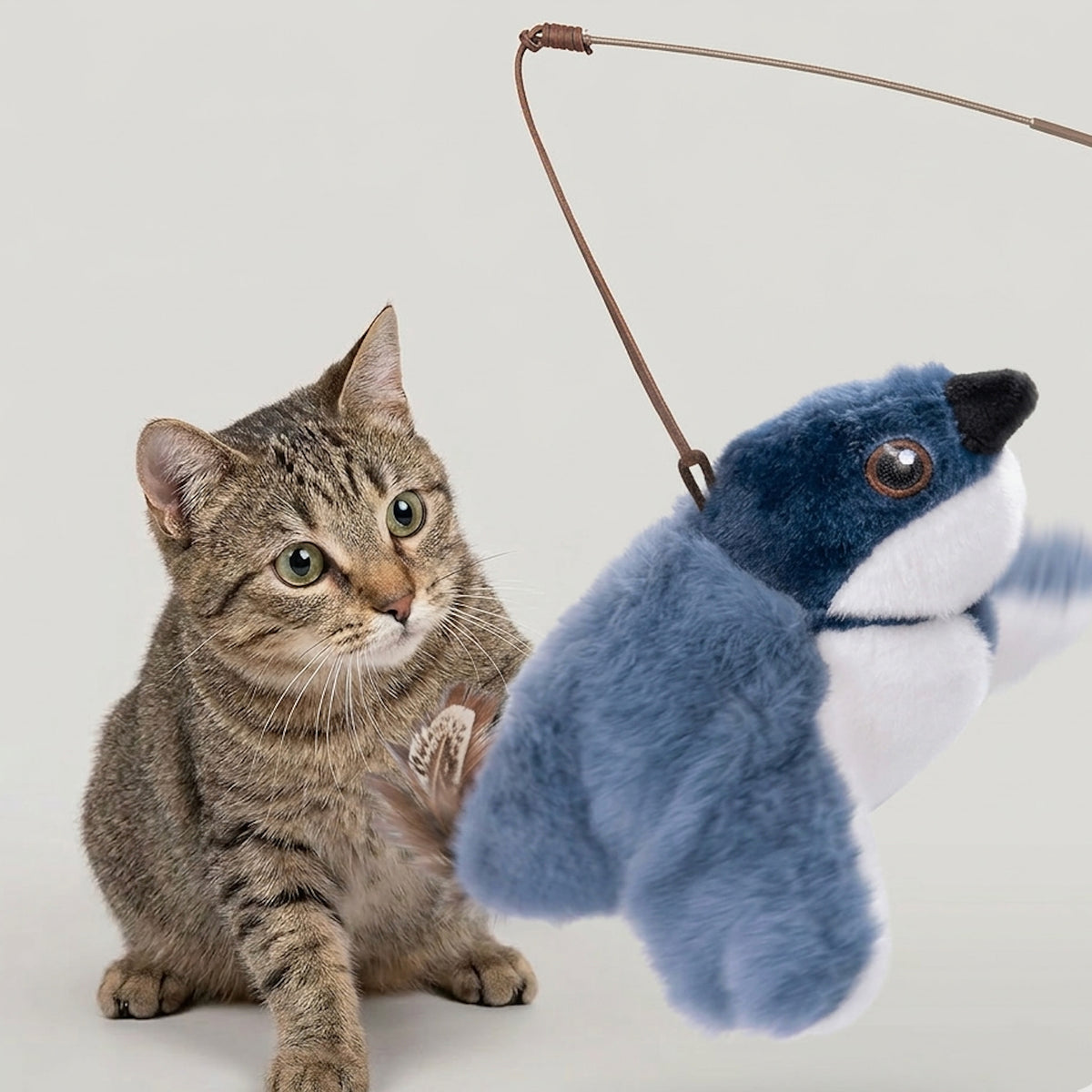 Cat reaching toward a blue rechargeable flapping bird toy